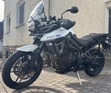 Triumph Tiger XRX 800 - TRIUMPH TIGER 800 XRX