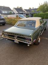 Ford Mustang - Ford Mustang in Leverkusen