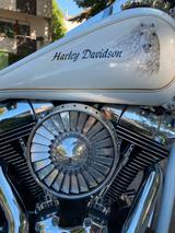 Harley-Davidson Heritage Umbau Model 2008 - Offers matching your search criteria