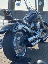 Harley-Davidson Fatboy 114 - Angebote