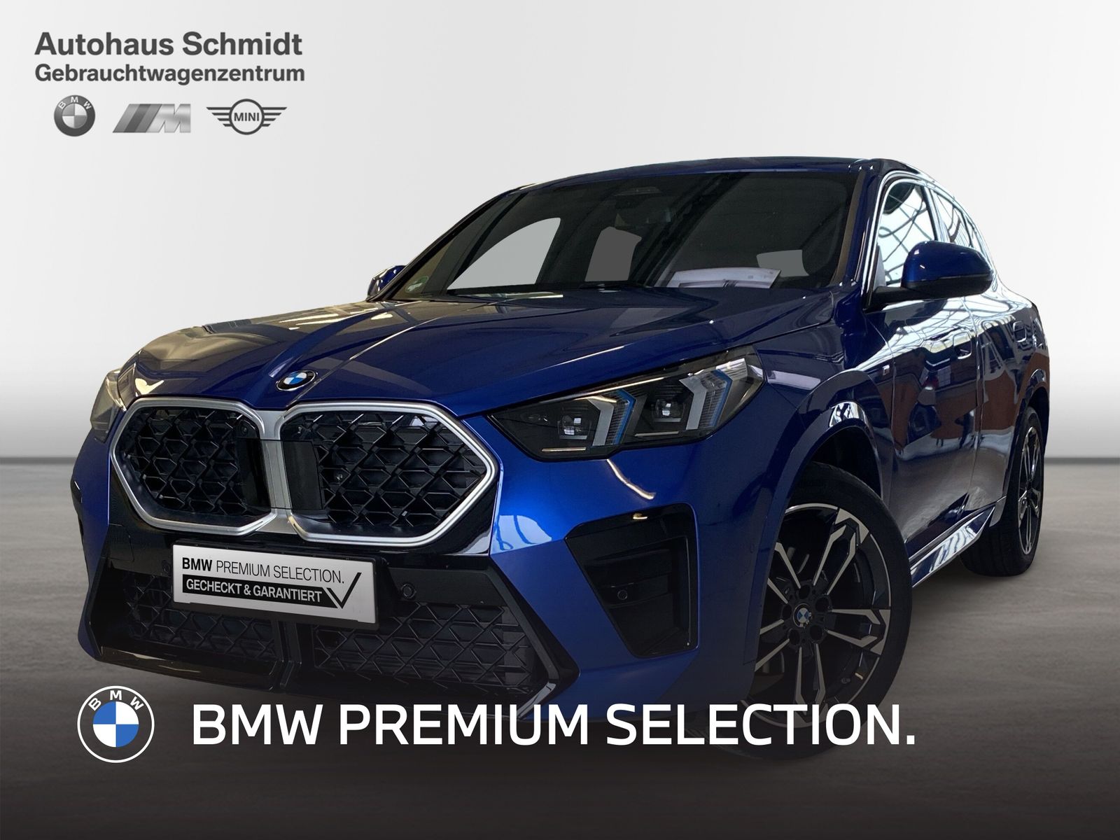 BMW X2 sDrive18d 327€ netto/mtl.*M Sportpaket*19"*LC
