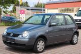 Volkswagen Lupo 1.4i 60PS Windsor # Klima # TÜV NEU # 1.Han - Volkswagen Lupo mit Benzin-Antrieb: 1.4