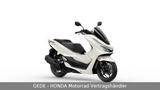 Honda PCX 125 DX *5Zoll TFT*weiß*wenig km* - HONDA PCX125 DX