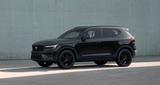 Volvo XC40 B3 Plus Black Edition, AHK + WR - Volvo XC40: Plus Black Edition