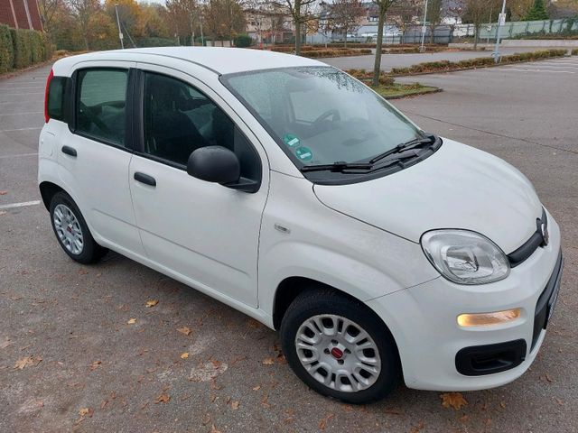 Fiat Abholpreis !! Fiat Panda easy - 1,2 Liter ...