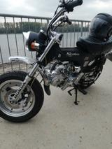 Skyteam Dax 125 - SKYTEAM MOTORRAD