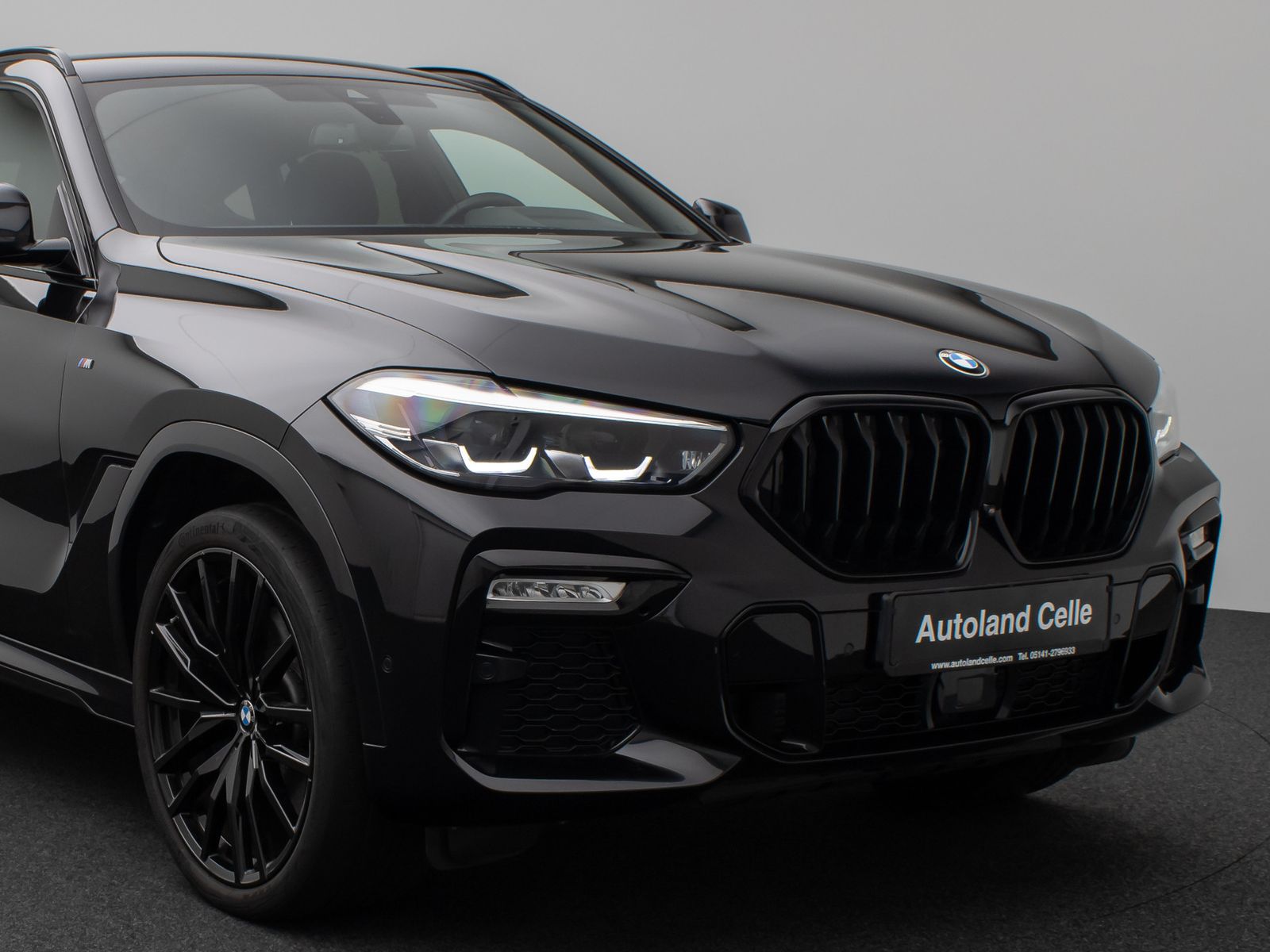 Fahrzeugabbildung BMW X6 xD30d M Sport DAB 360°DisplKey AHK Alarm 22"