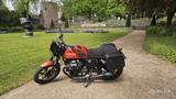 Moto Guzzi V7 Stone 850 - MOTO GUZZI V7 850