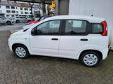 Fiat Panda - Fiat Panda Gebrauchtwagen in Bremen