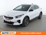 Kia XCeed 1.6 TGDI Platinum Edition Aut*NAVI*LED*ACC - Kia XCeed: Platinum