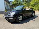 Volkswagen Beetle Cabrio, Leder, Klima, Xenon, e-Verdeck,.. - Volkswagen Beetle aus 2003