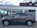 Mercedes-Benz *ML 350 CDI *BlueTec *Bi-Xenon *Schiebedach *360 - Mercedes-Benz ML 350 in Köln