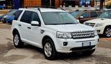 Land Rover Freelander 2.2 SD4 S.W. SE - weiße Land Rover Freelander