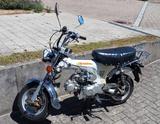 Skyteam ST 125-6 (Nachbau der Honda Dax) nur 76kg schwer - SKYTEAM MOTORRAD