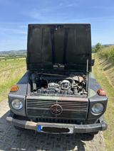 Mercedes-Benz GD 250 Wolf - Mercedes-Benz Gd