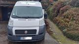 Fiat Transporter Fiat Ducato 250 L2H2 LKW-Zul. ... - Fiat: Transporter
