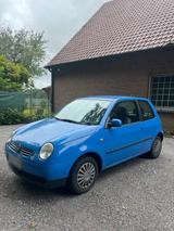 Volkswagen VW Lupo 6x  1.4 16V Automatik - Volkswagen Lupo: 6x