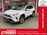 Toyota RAV 4 2.5 4x2 Hybrid Lounge - Toyota RAV 4: Lounge