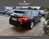 Skoda Octavia Combi 1.5 eTSI mHEV DSG7 SelectionPlu... - Skoda Neuwagen