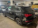 Audi Q5 40 TDI quattro design - Audi: Unfallwagen