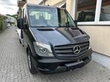 Algema Sprinter II 3.0 V6 Aut. Algema XL Blitzlader R - Angebote