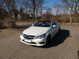 Mercedes-Benz Cabrio Leder Navi 8x Alu AirScarf Designo Lack - Mercedes-Benz E 200 in Halle