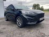 Ford Kuga ST-Line X PHEV+iACC+LED+BLIS+PDC+DAB+B&O+LM - Ford Kuga Plug-in Hybrid (PHEV) Gebrauchtwagen