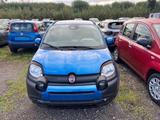 Fiat FIAT Pandina III 2024 Cross - Pandina Cross 1.0  - Jahreswagen bis 10.000 Euro