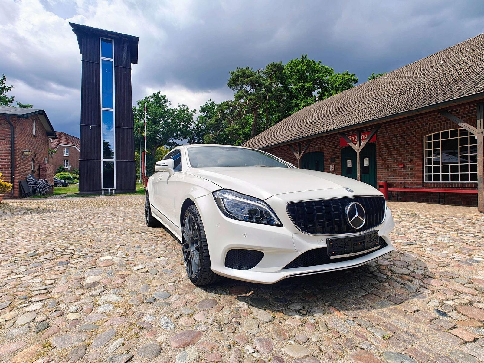 Mercedes-Benz CLS 250 CLS 250 CDI BlueTec MultiBeam /