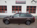 Skoda Octavia Edition, Panoramad. , Standheizung - Skoda Octavia: Edition