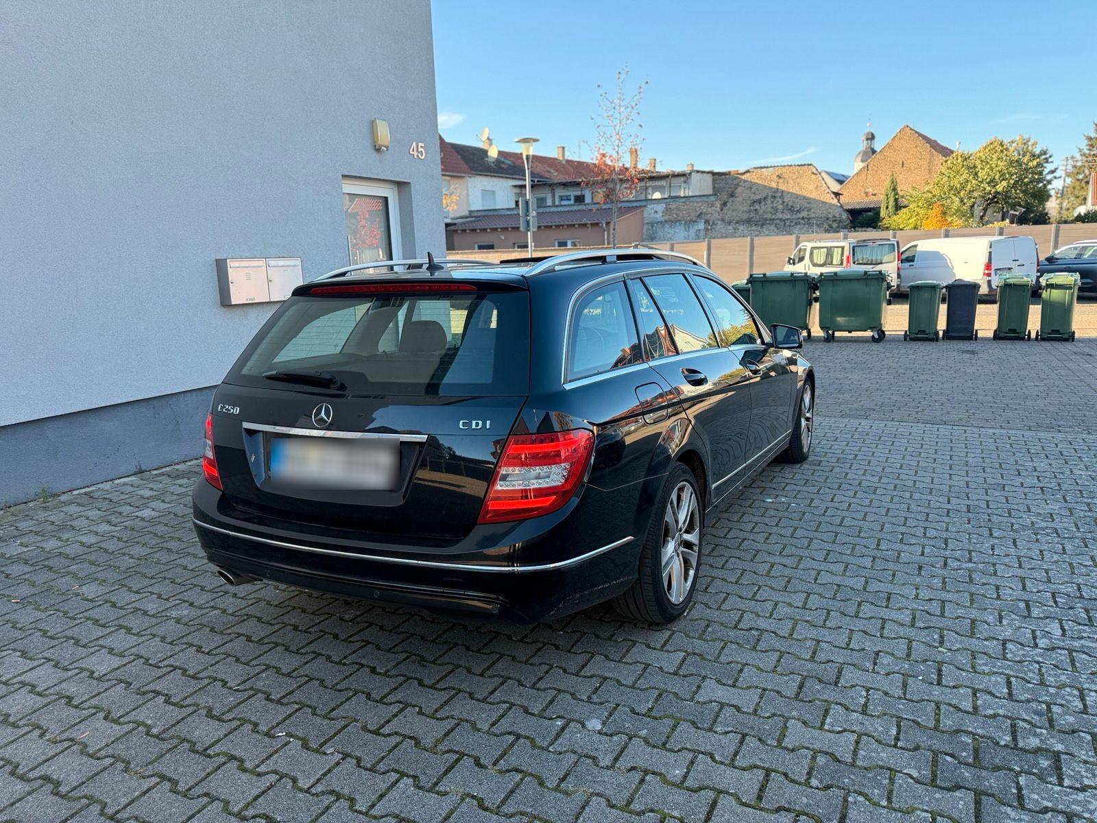 Mercedes-Benz C250 2014 — вигляд ззаду