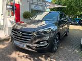 Hyundai Tucson 2,0 CRDI Aut.Premium 4WD*Leder*Pano* - mit Diesel-Antrieb: Gold, Allradantrieb, Geländewagen, Automatik, 2.0