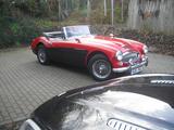 Austin Healey Mk III, ohne Identitätsverlust 33%  höher CDGA 