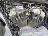 Harley-Davidson Nightster XL1200N - HARLEY-DAVIDSON NIGHTSTER