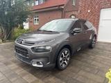 Citroën C4 Cactus Shine, TÜV/Service Neu* - gebrauchte Citroën C4 Cactus aus dem Jahr 2020
