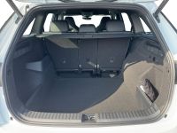 Skoda Kodiaq - Vorschau Bild 7