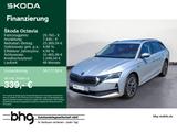 Skoda Octavia Combi 2.0 TDI DSG SelectionTour PanoDach - Skoda Jahreswagen mit Diesel-Antrieb