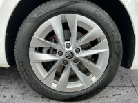 Skoda Octavia - Vorschau Bild 8