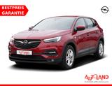 Opel Grandland X 1.2 Edition LED IntelliLink Tempomat - Opel Gebrauchtwagen in Potsdam