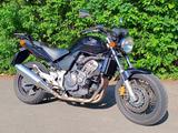 Honda CBF 600 SA PC38 mit ABS und Lenkerheizung - HONDA CBF 600 PC38