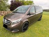 Mercedes-Benz V 250 BlueTEC EDITION lang EDITION - Mercedes-Benz V 250: Von Privat