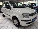Fiat Panda 1.2 8V Classic KLIMA ELEK.FENSTER - Fiat Panda Gebrauchtwagen in Köln