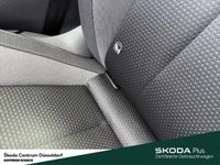 Skoda Kamiq - Vorschau Bild 23