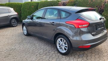 Fahrzeugabbildung Ford Focus Trend 5-Türig 1,6 Ltr.-4 Zyl.