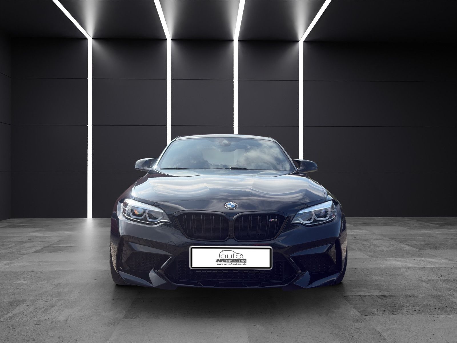 Fahrzeugabbildung BMW M2 Coupe Competition/H&K/Carbon/Apple CarPlay