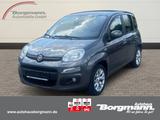 Fiat Panda Lounge 1.2 Bluetooth - Freisprecheinrichtu - Fiat Panda: 1.1