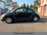 Volkswagen Beetle - Volkswagen Beetle in Bonn