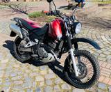 Suzuki Scrambler Freewind XF 650 Wirth / HRT Feder /  - SUZUKI XF 650 FREEWIND