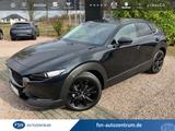 Mazda CX-30 2.5L e-SKYACTIV G 140PS 6MT Nagisa - Mazda CX-30 mit Benzin-Antrieb: Alcantara, Scheckheftgepflegt, Geländewagen