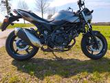 Suzuki SV 650 - Angebote